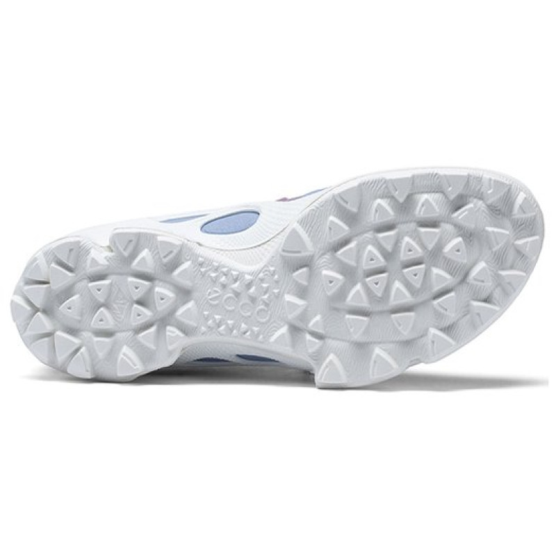 ecco Biom C Trail