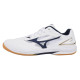 Mizuno