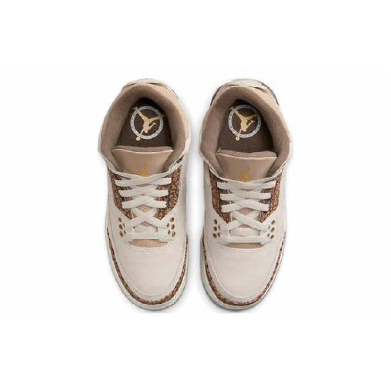 Jordan Air Jordan 3 