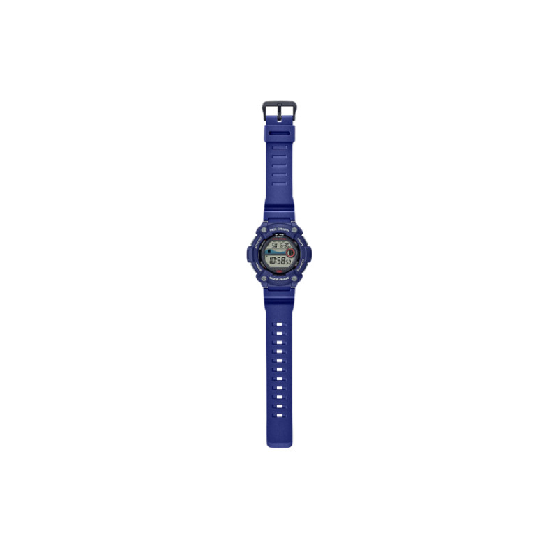 CASIO VINTAGE 100 WS-1300H-2AVCF
