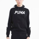 Puma Modern Logo