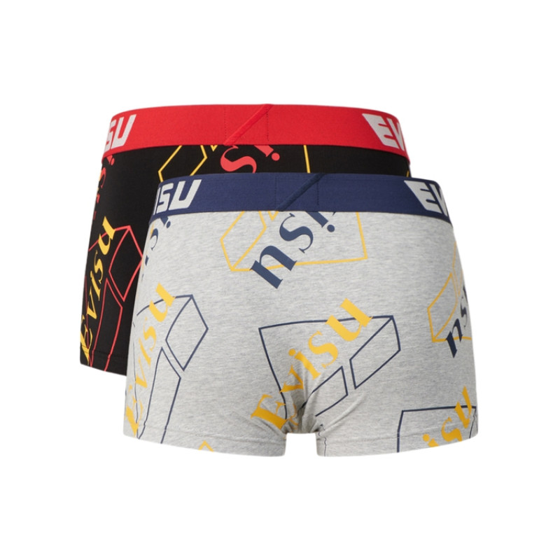 EVISU 2