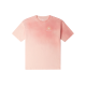 Converse T