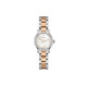 RADO Coupole 50 21mm R22890942