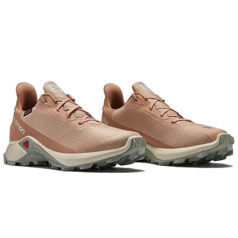 SALOMON Alphacross 3 Gtx