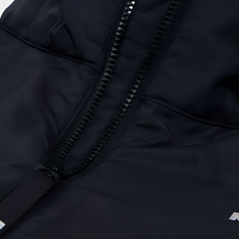 THE NORTH FACE Logo