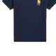 Polo Ralph Lauren FW22 Polo