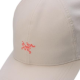 Arcteryx Logo -