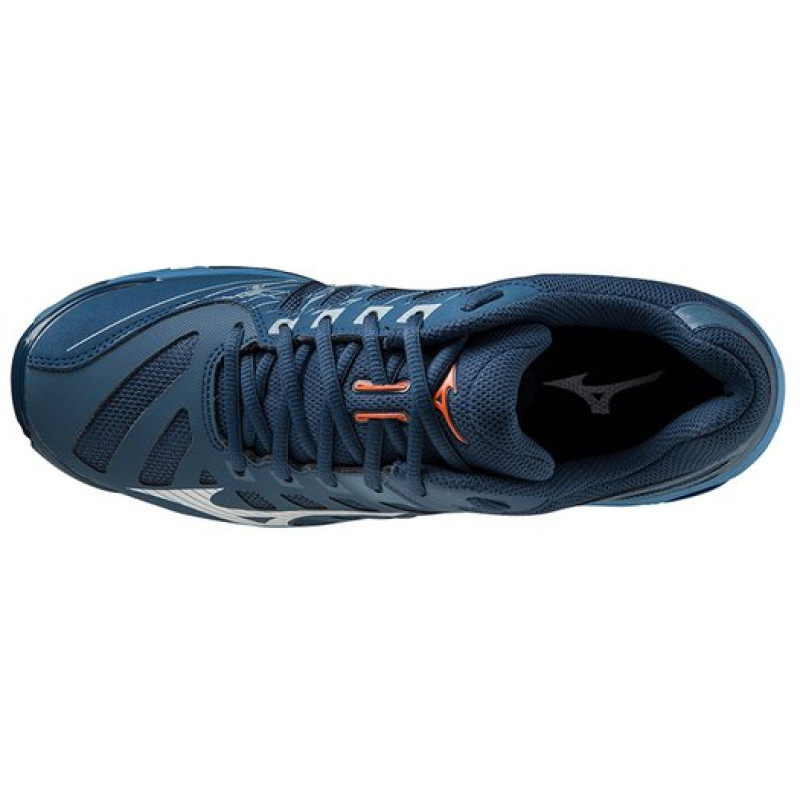 Mizuno Wave Voltage