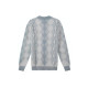 DIOR FW22 V