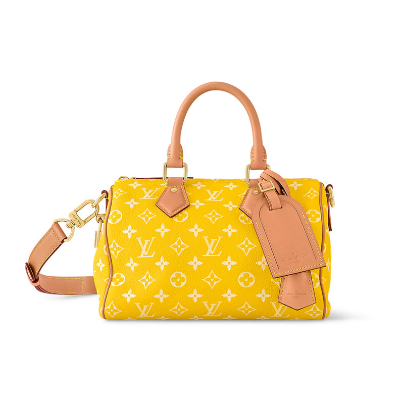 LOUIS VUITTON Speedy 25