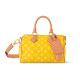 LOUIS VUITTON Speedy 25