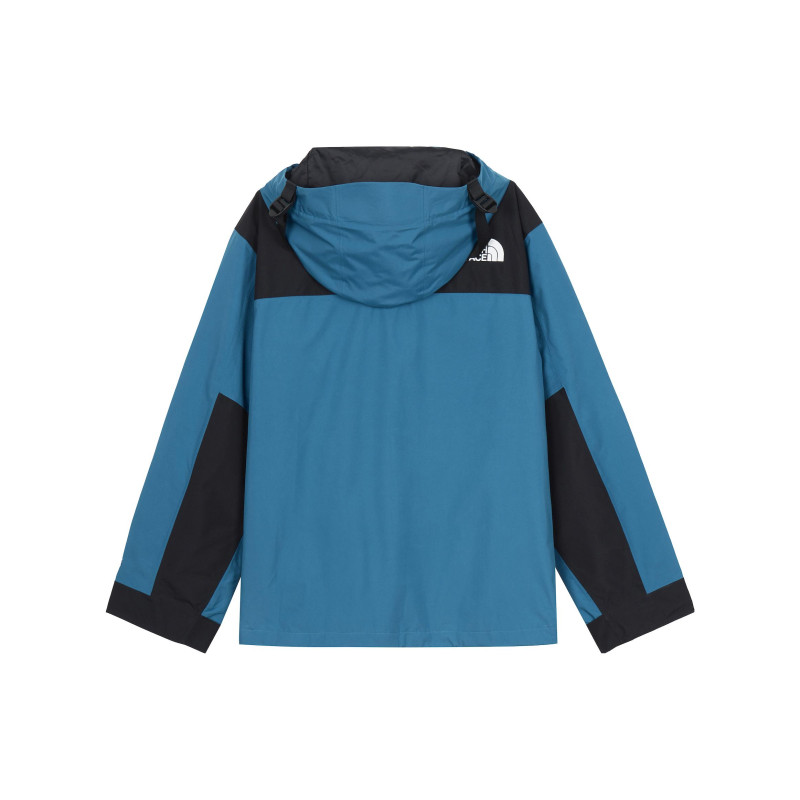 THE NORTH FACE GTX MOUNTAIN JACKET 10Logo