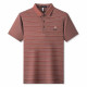 PIERRE CARDIN Polo