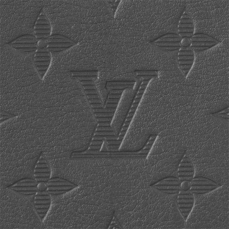 LOUIS VUITTON Multiple