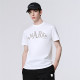 FAIRWHALE T