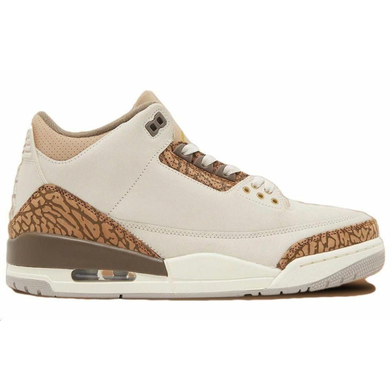 Jordan Air Jordan 3 