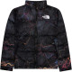THE NORTH FCAE 1996 Nuptse700