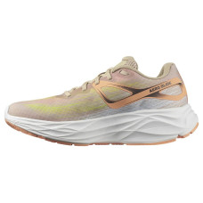 SALOMON Aero Glide
