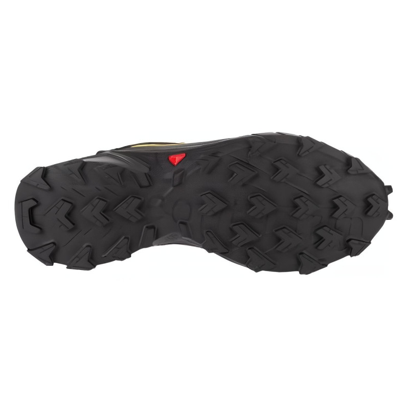 SALOMON ALPHACROSS 5 GTX