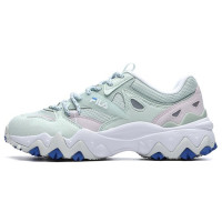 FILA Fellow 2 2