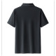 PIERRE CARDIN Polo
