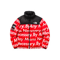 Supreme x THE NORTH FACE TNF FW15