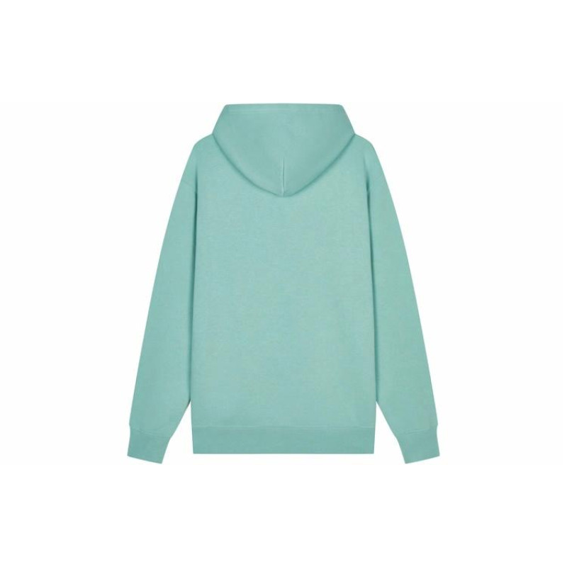 Champion FW23 Rochester Logo