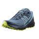 SALOMON Sense Ride 4