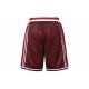 Nike x LeBron x Liverpool Logo
