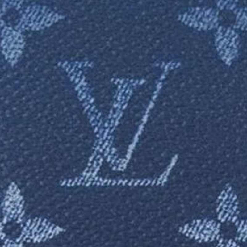 LOUIS VUITTON Pocket Organizer Logo