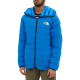 THE NORTH FACE Logo