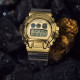 CASIO base GM-6900SG-9PR