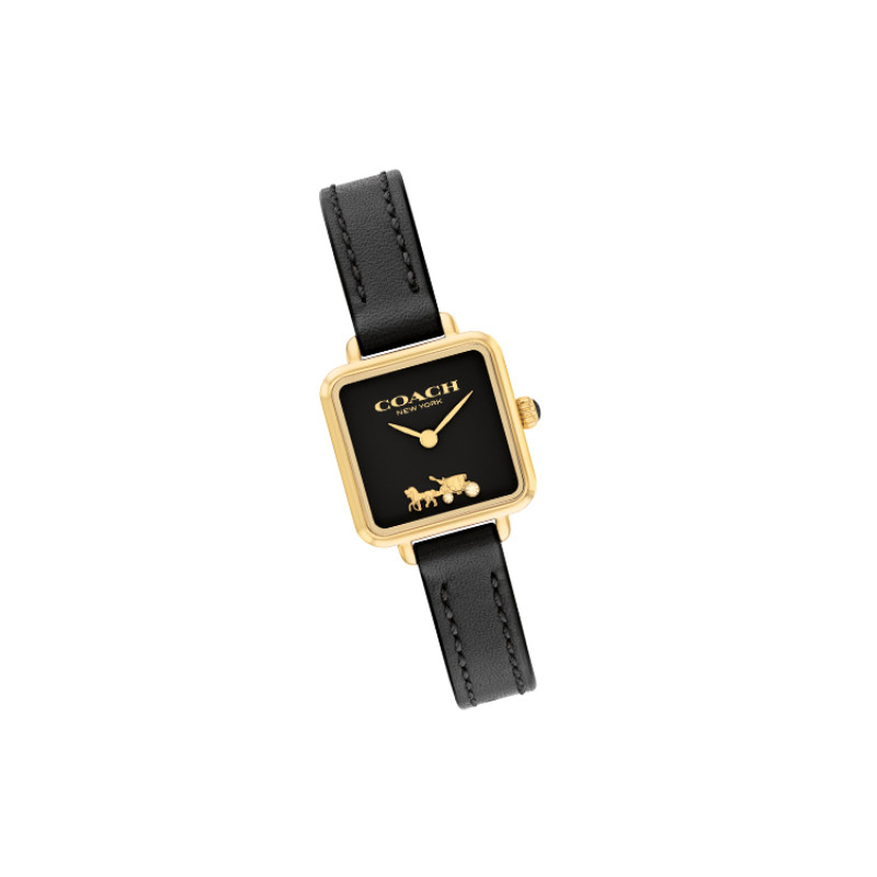 COACHCass 22mm 14504225