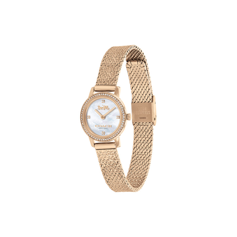 COACH AUDREY 22mm 14503372-1