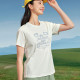 Skechers SS24T