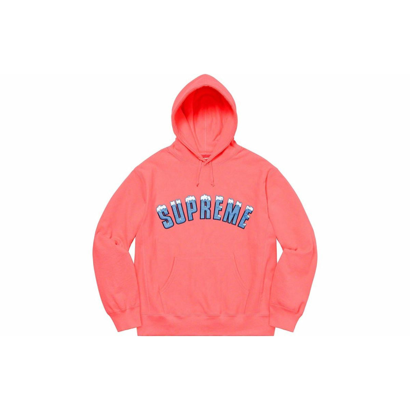 Supreme FW20 Week 1 Icy Arc Hooded Sweatshirt Logo