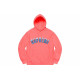 Supreme FW20 Week 1 Icy Arc Hooded Sweatshirt Logo