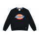 Dickies SS21 Logo