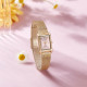 CITIZEN Juicy TintJT EJ6123-81X