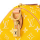 LOUIS VUITTON Speedy 25