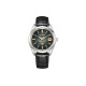 CITIZEN 100m AQ4100-22E