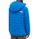 THE NORTH FACE Logo