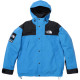 Supreme x THE NORTH FACE FW24 WEEK9 logo