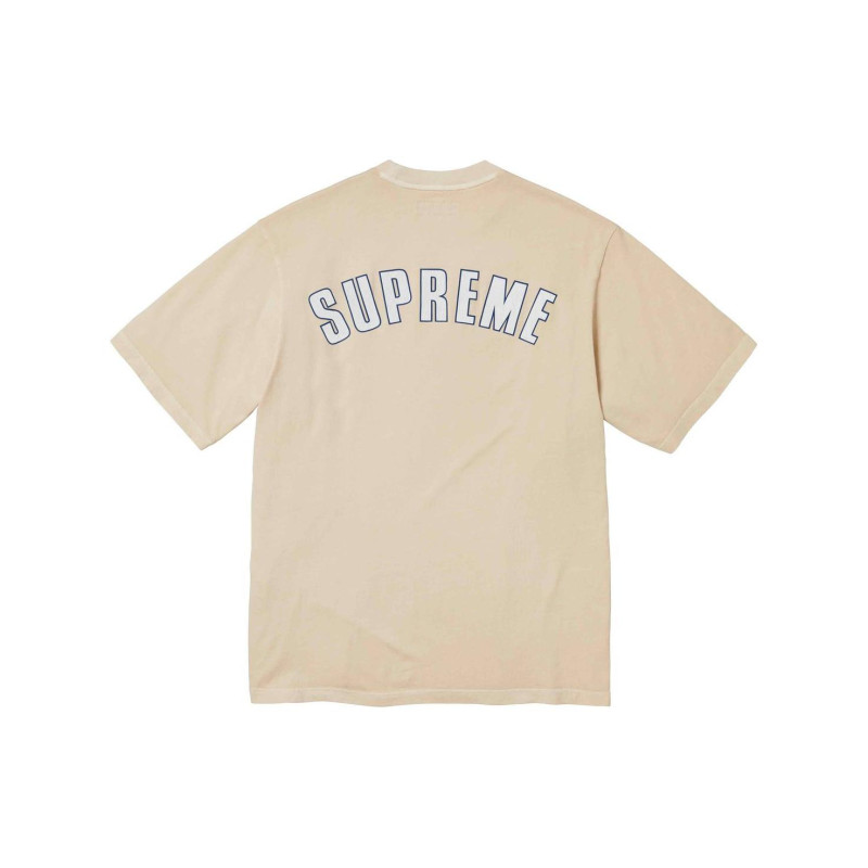 Supreme SS24 WEEK3 CRACKED ARC SS TOP T