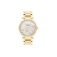 COACHCary 34mm 30