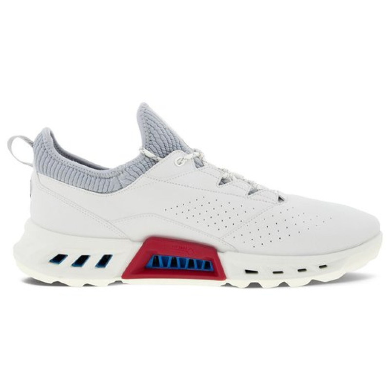 x ecco Biom C4