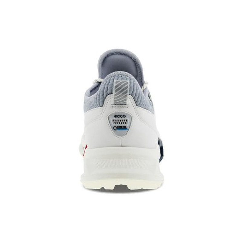 x ecco Biom C4