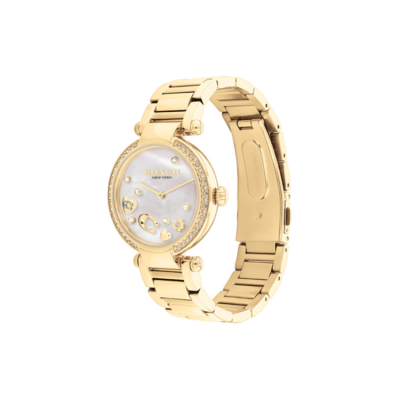 COACHCary 34mm 30