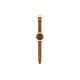 SWATCH SKIN 30 38*45.6mm SYXG104